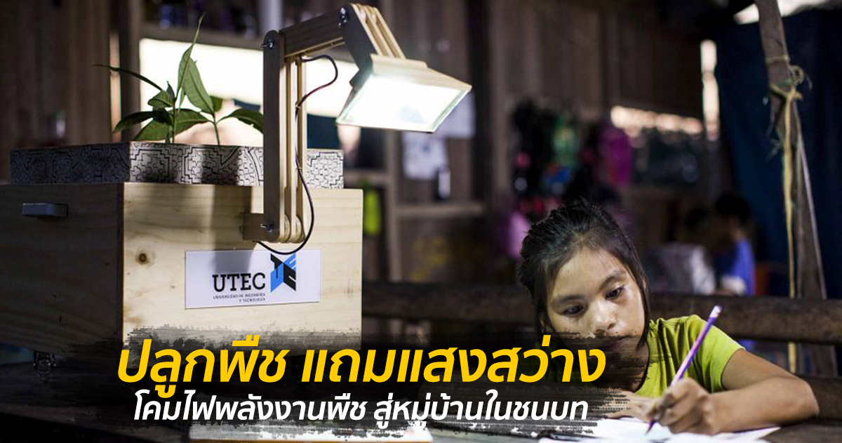 เพียงปลูกพืชก็สว่างได้ โคมไฟพลังงานพืช สู่หมู่บ้านในชนบท