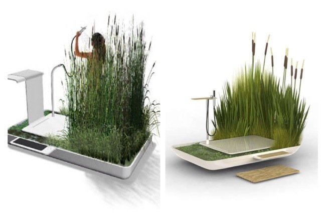 Eco Shower รีไซเคิลน้ำจากการอาบมาหล่อเลี้ยงต้นไม้ที่อยู่รอบๆ